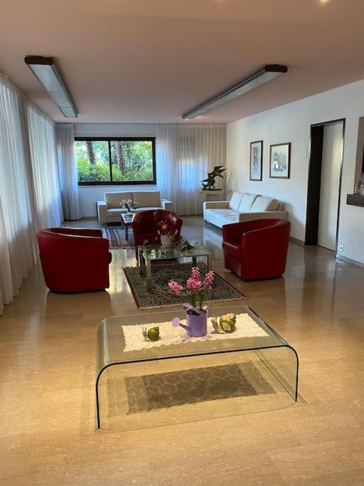 Ascona: Residenza Sabrina,App 2.5 Locali E Piscina Apartment ภายนอก รูปภาพ